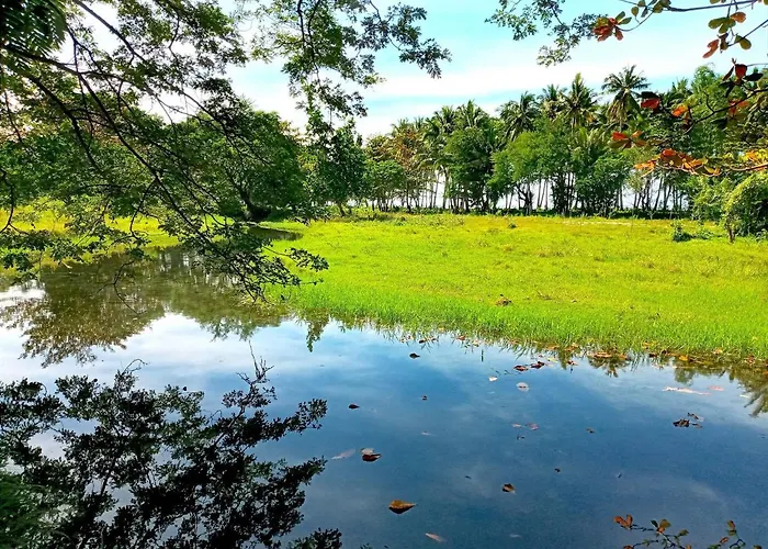 Villa Eliza Ecofarm