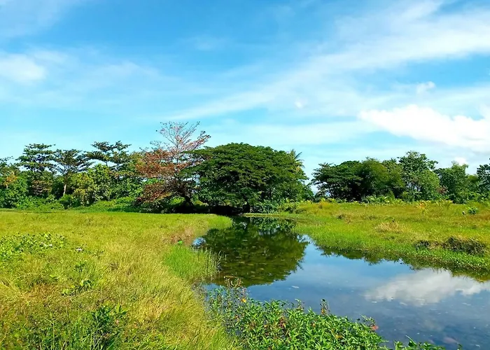Villa Eliza Ecofarm