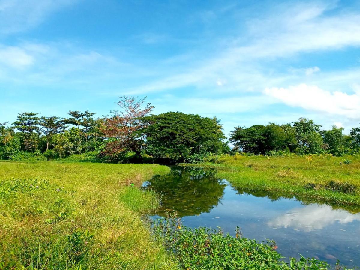 Eliza Ecofarm Campsite